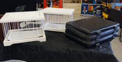 Aparição 2 gaiolas na mala (pode adicionar rolas) no preço não estão incluídas as rolas temos para venda Preço do artigo novo 540 € preço usado saldo 150 €    para comprar    Ligue 351 91 93 91 884  Maik Magic Joaquim Bastos